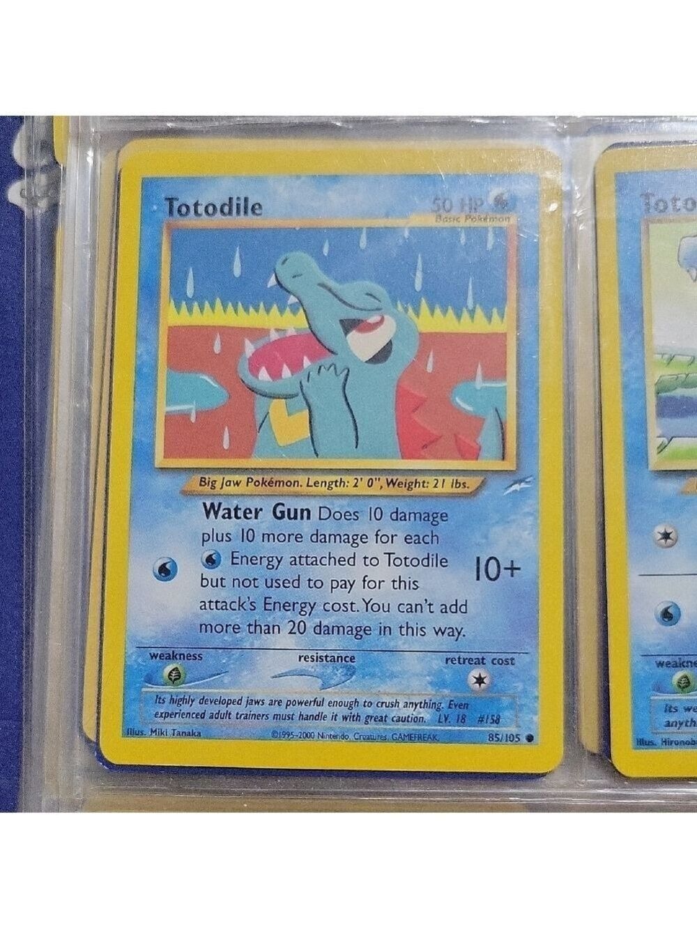 Pokémon Card Totodile